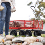 Red Gorilla utility cart loaded with stones, person in jeans holding rocks.