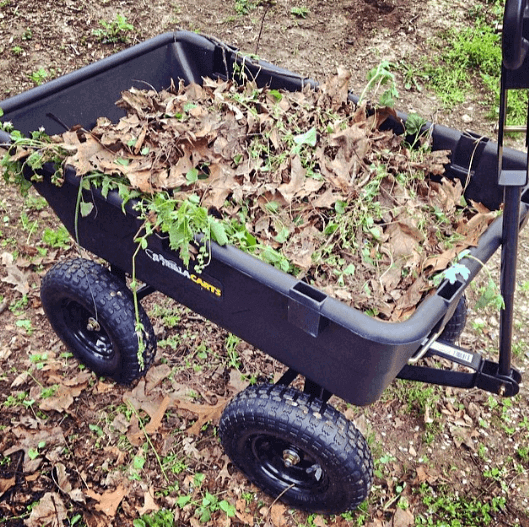 Gorilla cart with leaves