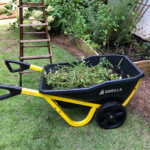 Gorilla wheelbarrow, black and yellow, filled with garden debris in a yard.