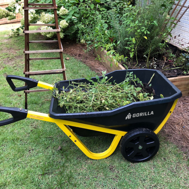 Gorilla wheelbarrow, black and yellow, filled with garden debris in a yard.