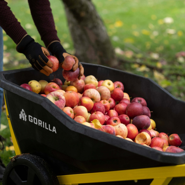 Gorilla Made black and yellow cart filled with red and yellow apples.
