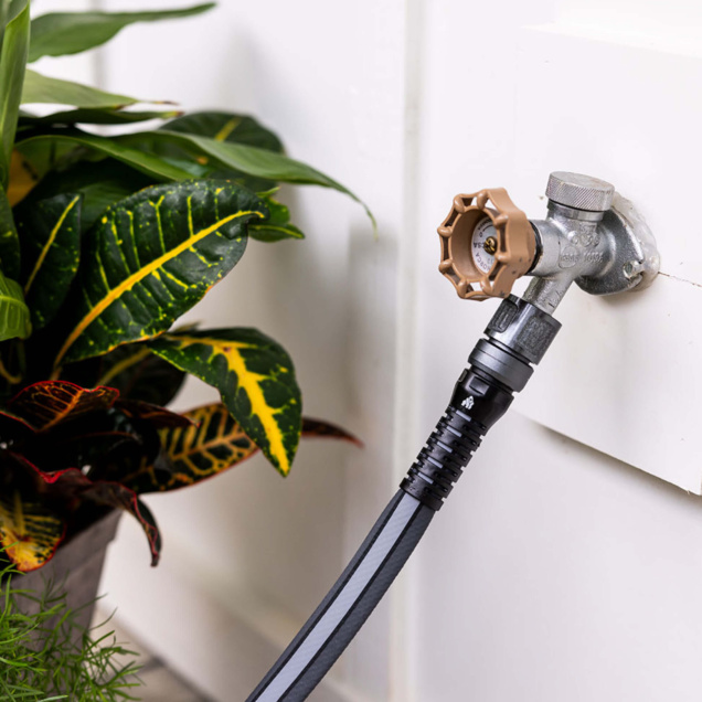 Close-up of a garden hose connected to an outdoor faucet, beside variegated leaves.